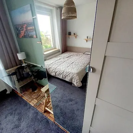 Wood * 브로츠와프